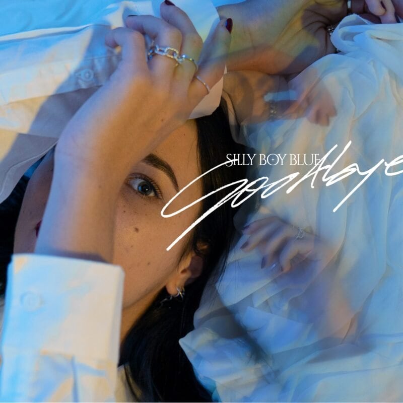 Goodbye les adieux dans un sourire de Silly Boy Blue La Face B